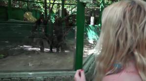 Kenzie meets all the wild animals she could imagine!