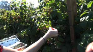 You head to the farm with Riley!